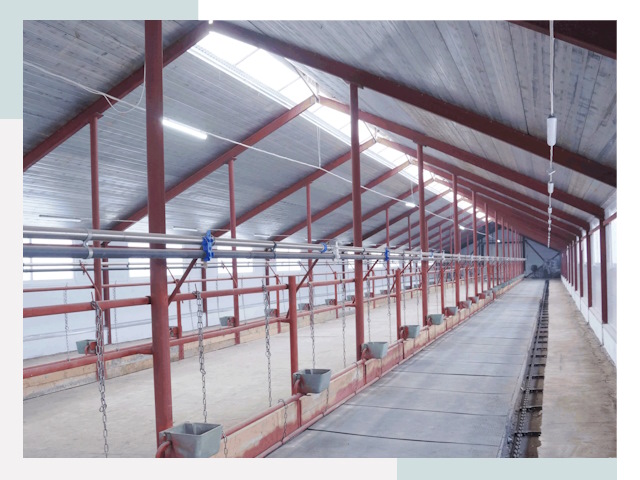 Строительство коровников в Новошахтинске от 625 руб.