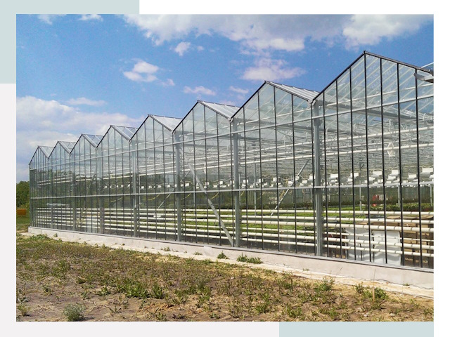 Строительство теплиц в Новошахтинск от 625 руб. за м²