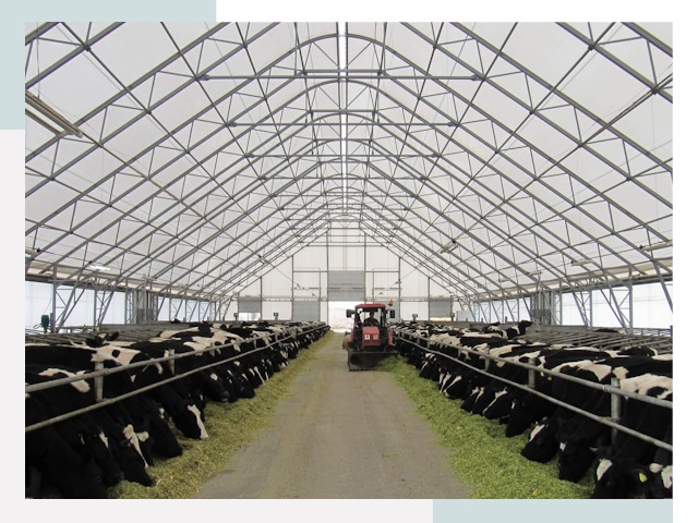 Тентовые коровники в Новошахтинске от 625 руб. - Надежно и доступно